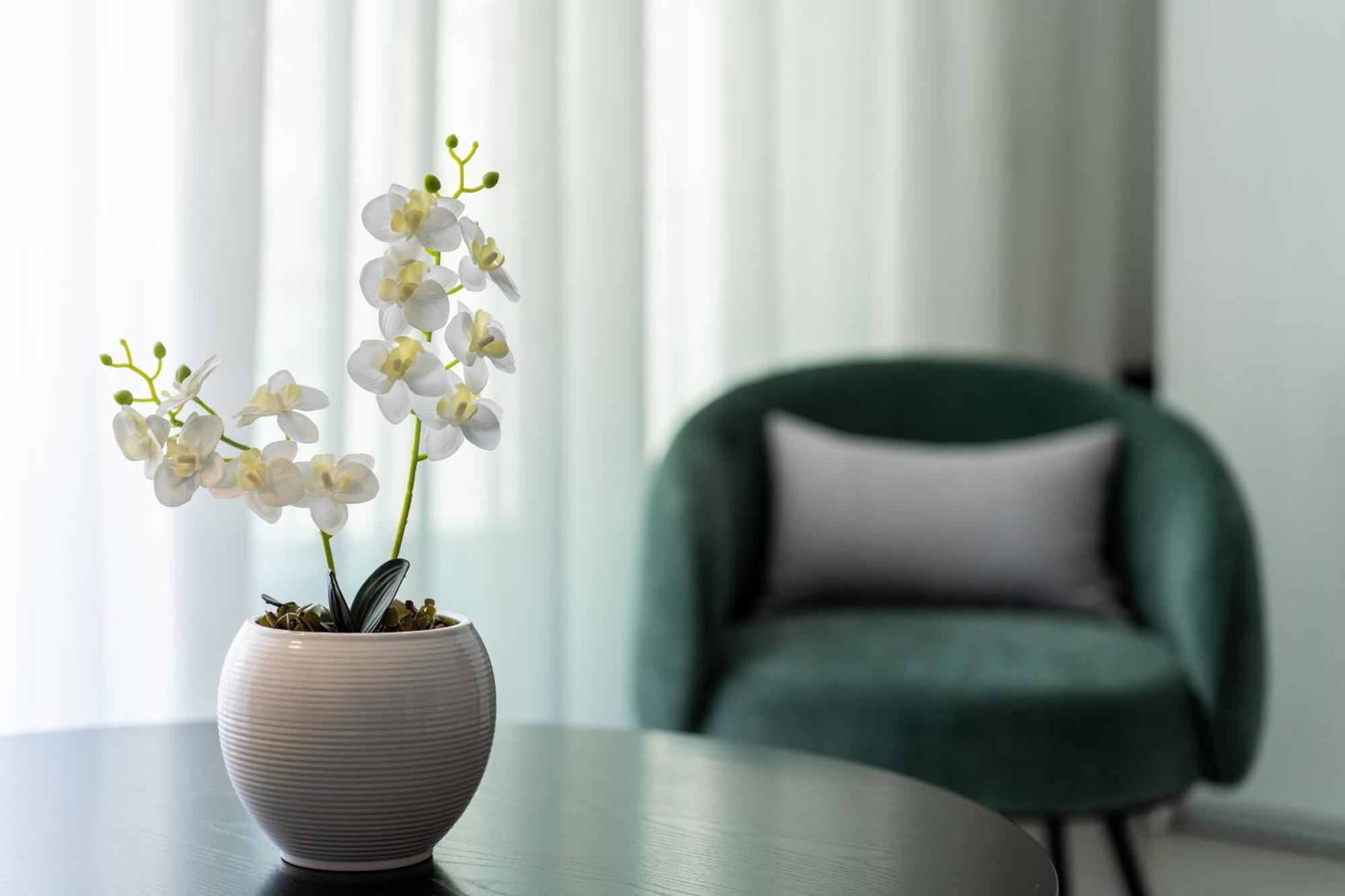 סיטייה Althea Suites חדר תמונה